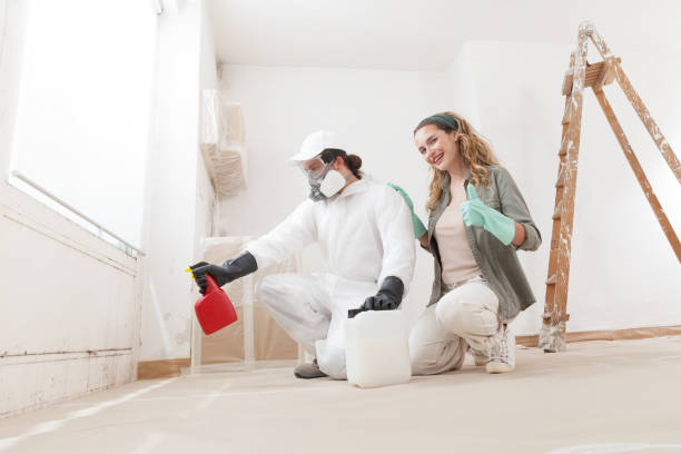 Best Commercial Mold Inspection  in Southern View, IL